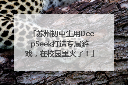 苏州初中生用DeepSeek打造专属游戏，在校园里火了！
