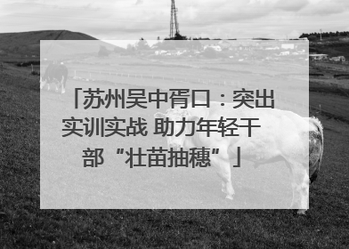 苏州吴中胥口：突出实训实战 助力年轻干部“壮苗抽穗”