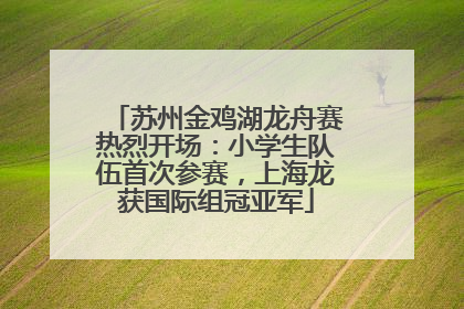 苏州金鸡湖龙舟赛热烈开场：小学生队伍首次参赛，上海龙获国际组冠亚军