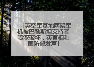 英空军基地两架军机被巴勒斯坦支持者喷漆破坏，英首相和国防部发声