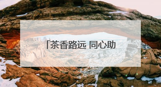 茶香路远 同心助农——永州高速开展助力乡村振兴“路外”志愿服务