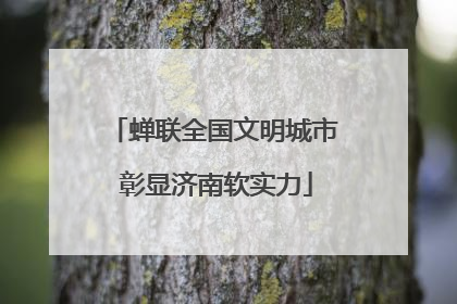 蝉联全国文明城市 彰显济南软实力