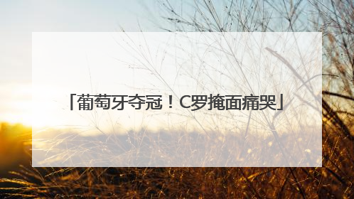 葡萄牙夺冠！C罗掩面痛哭