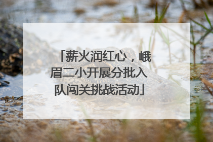 薪火润红心，峨眉二小开展分批入队闯关挑战活动