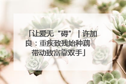 让爱无“碍”｜许加良：重疾致残始种藕 带动致富靠双手