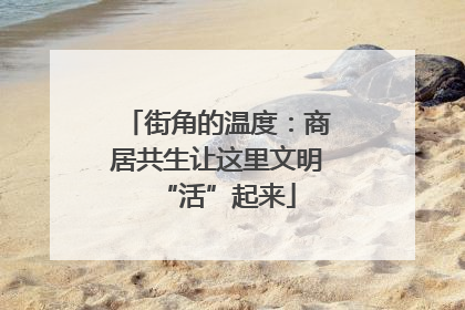 街角的温度：商居共生让这里文明“活”起来