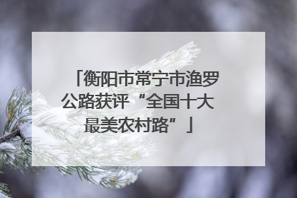 衡阳市常宁市渔罗公路获评“全国十大最美农村路”