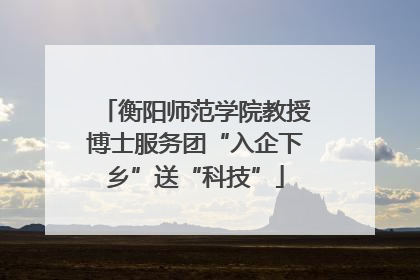 衡阳师范学院教授博士服务团“入企下乡”送“科技”