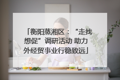 衡阳蒸湘区：“走找想促”调研活动 助力外经贸事业行稳致远