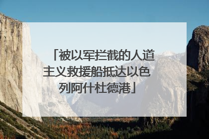 被以军拦截的人道主义救援船抵达以色列阿什杜德港