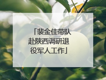 裴金佳带队赴陕西调研退役军人工作