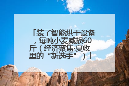 装了智能烘干设备，每吨小麦减损60斤（经济聚焦·夏收里的“新选手”）