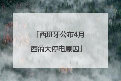 西班牙公布4月西葡大停电原因