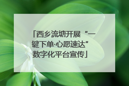 西乡流塘开展“一键下单·心愿速达”数字化平台宣传