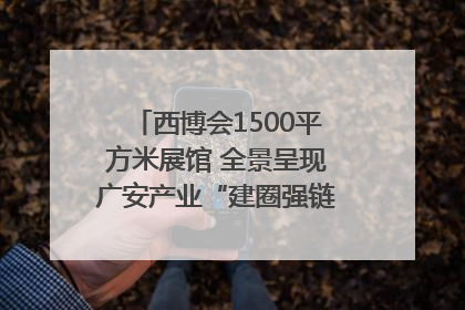 西博会1500平方米展馆 全景呈现广安产业“建圈强链”｜西博视界