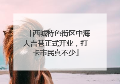 西城特色街区中海大吉巷正式开业，打卡市民真不少