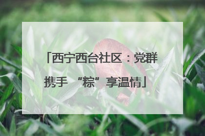 西宁西台社区：党群携手 “粽”享温情