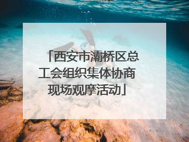 西安市灞桥区总工会组织集体协商现场观摩活动