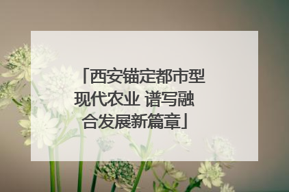 西安锚定都市型现代农业 谱写融合发展新篇章