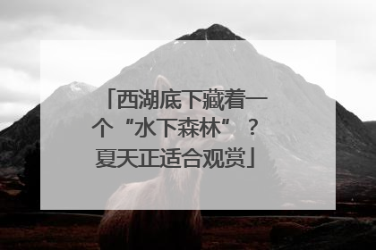 西湖底下藏着一个“水下森林”？夏天正适合观赏