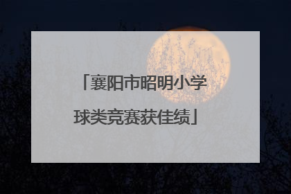 襄阳市昭明小学球类竞赛获佳绩