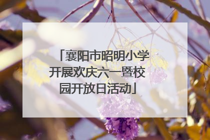 襄阳市昭明小学开展欢庆六一暨校园开放日活动