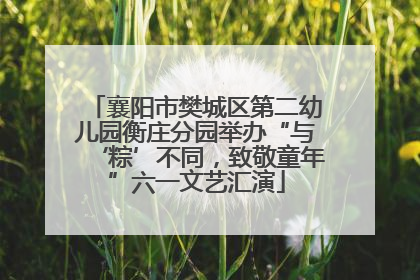 襄阳市樊城区第二幼儿园衡庄分园举办“与‘粽’不同，致敬童年”六一文艺汇演