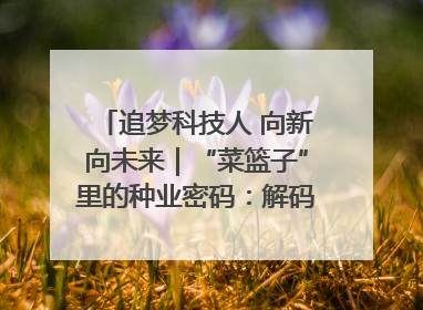 追梦科技人 向新向未来｜“菜篮子”里的种业密码：解码南京蔬菜分子育种的创新之路