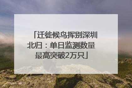 迁徙候鸟挥别深圳北归：单日监测数量最高突破2万只