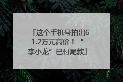 这个手机号拍出61.2万元高价！“李小龙”已付尾款