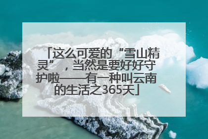 这么可爱的“雪山精灵”，当然是要好好守护啦——有一种叫云南的生活之365天