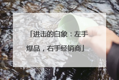 进击的白象：左手爆品，右手经销商