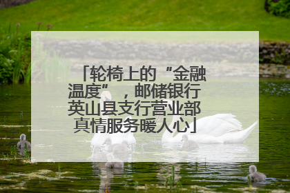 轮椅上的“金融温度”，邮储银行英山县支行营业部真情服务暖人心