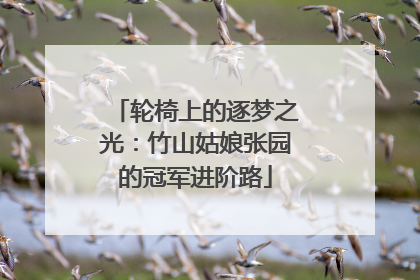 轮椅上的逐梦之光：竹山姑娘张园的冠军进阶路