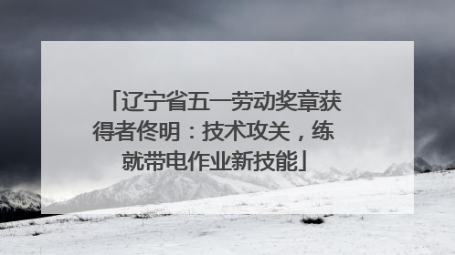 辽宁省五一劳动奖章获得者佟明：技术攻关，练就带电作业新技能
