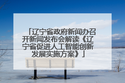 辽宁省政府新闻办召开新闻发布会解读《辽宁省促进人工智能创新发展实施方案》