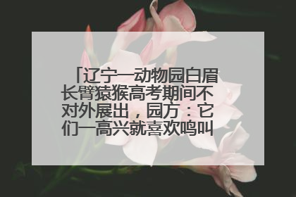辽宁一动物园白眉长臂猿猴高考期间不对外展出，园方：它们一高兴就喜欢鸣叫，怕影响考试