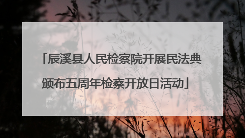 辰溪县人民检察院开展民法典颁布五周年检察开放日活动