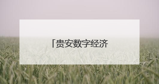 贵安数字经济取得新突破！