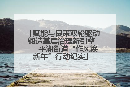 赋能与良策双轮驱动 锻造基层治理新引擎——平湖街道“作风焕新年”行动纪实