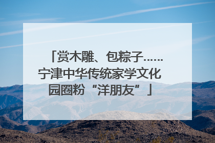 赏木雕、包粽子……宁津中华传统家学文化园圈粉“洋朋友”