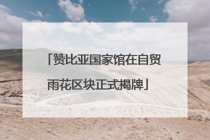 赞比亚国家馆在自贸雨花区块正式揭牌