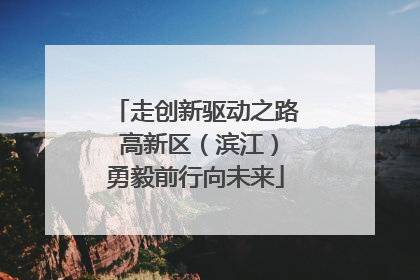 走创新驱动之路 高新区（滨江）勇毅前行向未来