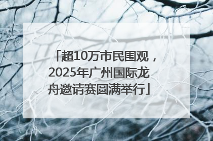 超10万市民围观，2025年广州国际龙舟邀请赛圆满举行