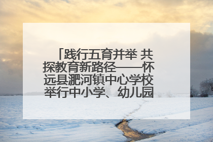 践行五育并举 共探教育新路径——怀远县淝河镇中心学校举行中小学、幼儿园班主任论坛活动