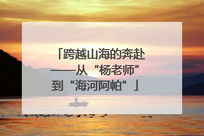 跨越山海的奔赴——从“杨老师”到“海河阿帕”