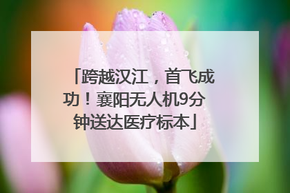 跨越汉江，首飞成功！襄阳无人机9分钟送达医疗标本