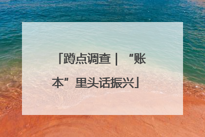 蹲点调查｜“账本”里头话振兴