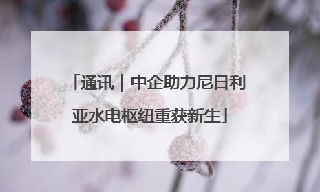 通讯｜中企助力尼日利亚水电枢纽重获新生