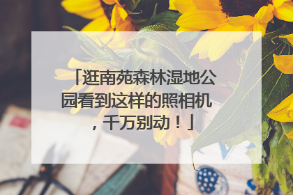 逛南苑森林湿地公园看到这样的照相机，千万别动！